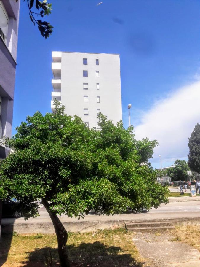 Studio Apartman Moonlight Задар Екстериор снимка